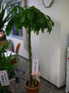 PB070488.JPG