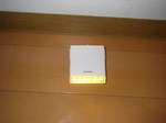 P9011150.JPG