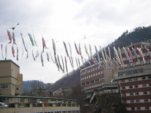 2.JPG