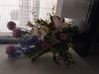 image1.JPG